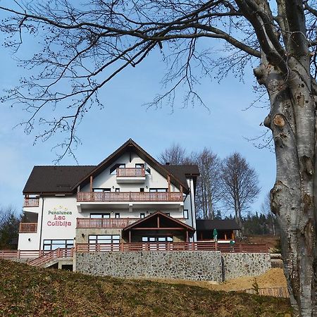 Pensiunea Lac Colibiţa エクステリア 写真