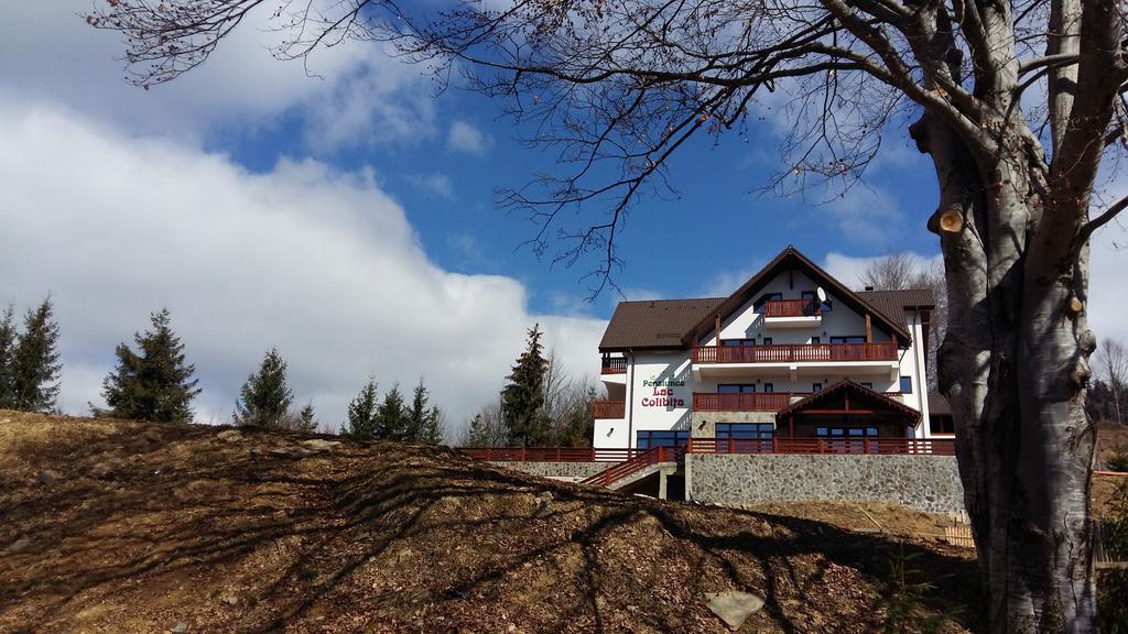 Pensiunea Lac Colibiţa エクステリア 写真