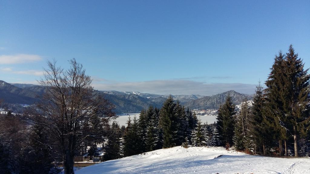 Pensiunea Lac Colibiţa エクステリア 写真